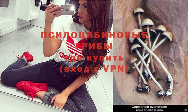 марки nbome Арсеньев