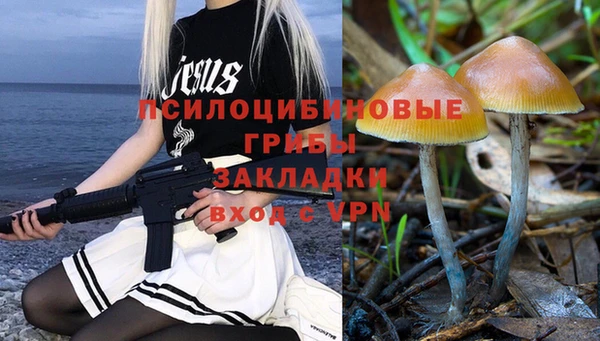эйфоретик Сафоново