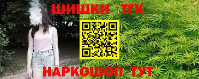 крисы Нальчик