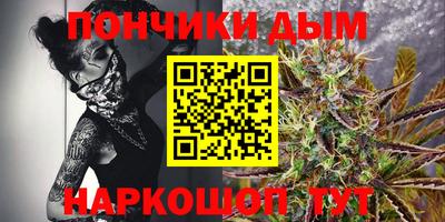 крисы Нальчик