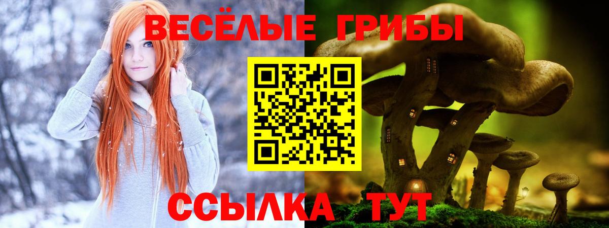 Баксан  Псилоцибиновые грибы MAGIC MUSHROOMS  Вход с VPN 