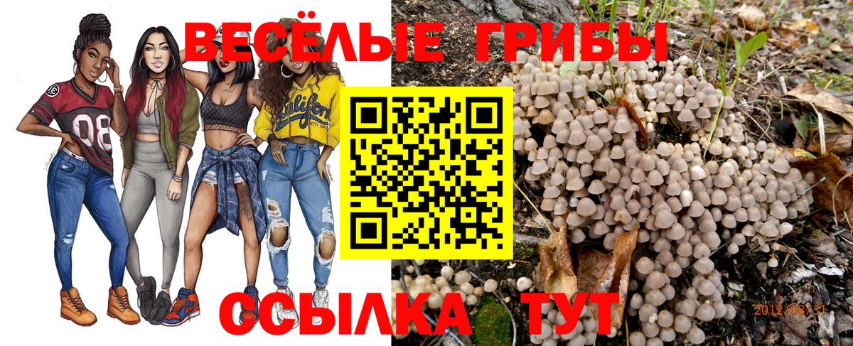 Галлюциногенные грибы Magic Shrooms Баксан